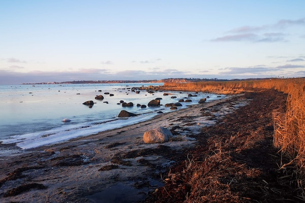 Foto van 6 persoons vakantie huis in Jægerspris-By Traum - Vakantiehuis in Jægerspris - WaterView