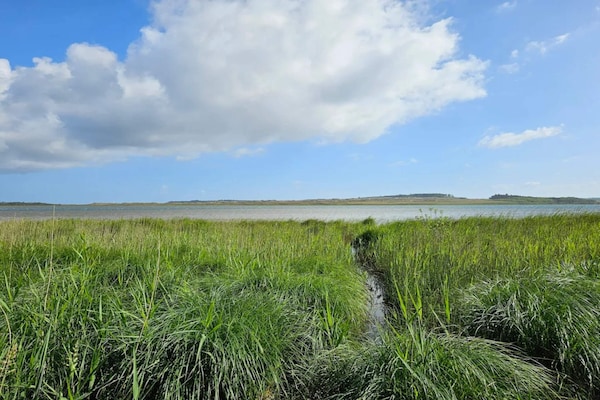 Foto van 4 sterren vakantie huis in Thisted-By Traum - Vakantiehuis in Thisted - WaterView