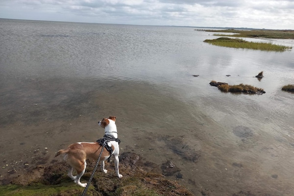 Foto van 6 persoons vakantie huis in Ørsted-By Traum - Vakantiehuis in Ørsted - Indoor