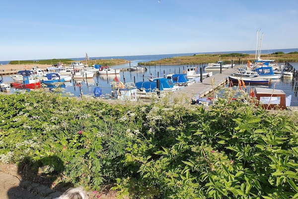 Foto van 5 persoons vakantie huis in Tarm-By Traum - Vakantiehuis in Tarm - WaterView