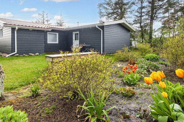 Foto van 5 persoons vakantie huis in Tarm-By Traum - Vakantiehuis in Tarm - Outdoor