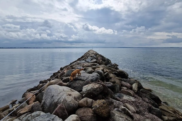 Foto van 4 sterren vakantie huis in Øster Assels-By Traum - Vakantiehuis in Øster Assels - WaterView
