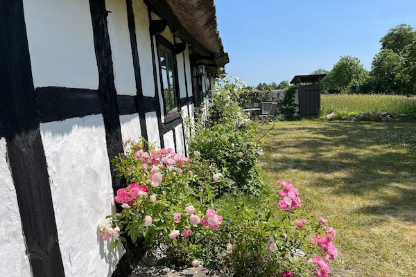 Foto van Houten huisje met rustieke charme - Vakantiehuis in DEGEBERGA - Outdoor