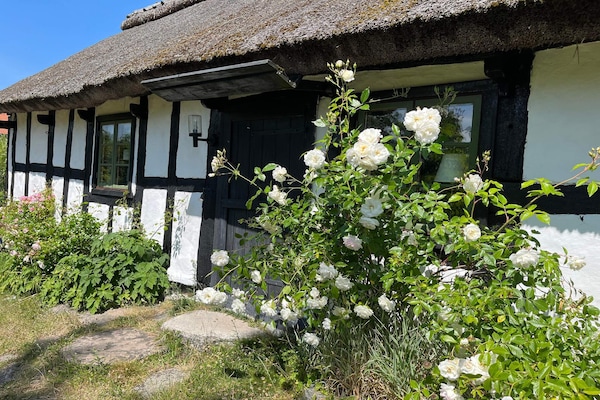 Foto van Houten huisje met rustieke charme - Vakantiehuis in DEGEBERGA - Outdoor