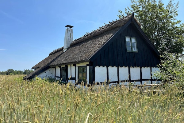 Foto van Houten huisje met rustieke charme - Vakantiehuis in DEGEBERGA - Outdoor