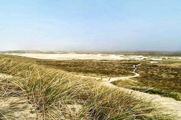 Foto van Luxe vakantieverblijf met zwembad - Vakantiehuis in Ulfborg - View