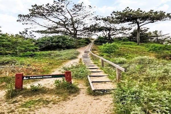 Foto van Luxe vakantieverblijf met zwembad - Vakantiehuis in Ulfborg - View
