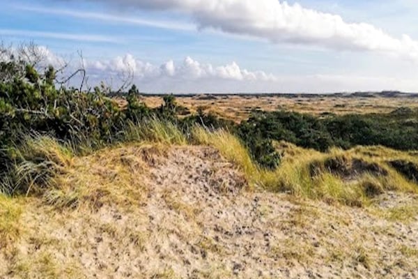 Foto van Luxe vakantieverblijf met zwembad - Vakantiehuis in Ulfborg - View