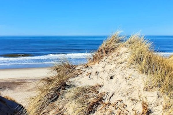 Foto van Luxe vakantieverblijf met zwembad - Vakantiehuis in Ulfborg - View