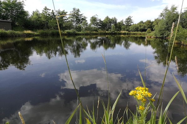 Foto van Luxe bos retraite -- By Traum Ferienwohnungen - Vakantiehuis in Karup J - WaterView