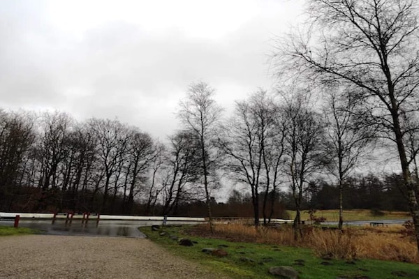 Foto van 4 sterren vakantie huis in Brande - Vakantiehuis in Brande - WaterView