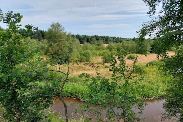 Foto van 4 sterren vakantie huis in Brande - Vakantiehuis in Brande - WaterView
