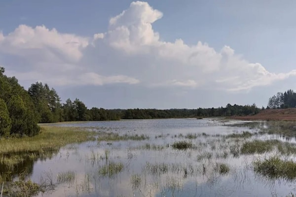 Foto van 4 sterren vakantie huis in Brande - Vakantiehuis in Brande - WaterView