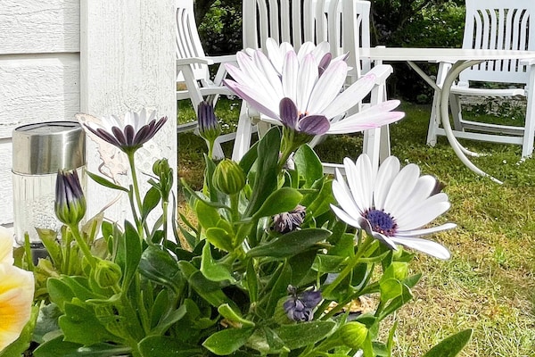 Foto van 5 persoons vakantie huis in SÖLVESBORG - Vakantiehuis in SÖLVESBORG - Outdoor