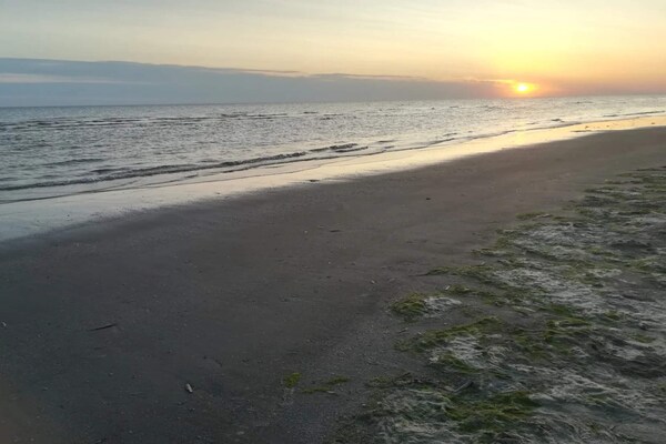 Foto van Rustig toevluchtsoord vlakbij het strand - Vakantiehuis in Fanø - WaterView