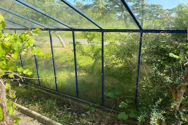 Foto van Lichtdoorstroomd toevluchtsoord in Boddum - Vakantiehuis in Hurup Thy - Outdoor