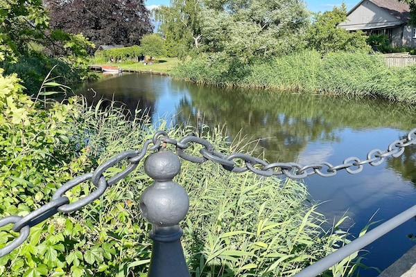 Foto van 4 sterren vakantie huis in SÖLVESBORG - Vakantiehuis in SÖLVESBORG - Outdoor