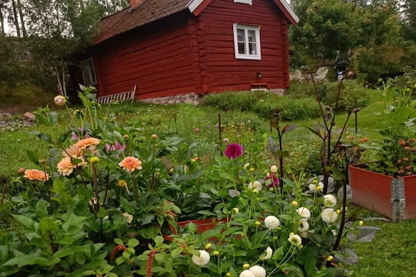 Foto van 4 persoons vakantie huis in NYKVARN - Vakantiehuis in NYKVARN - Untagged