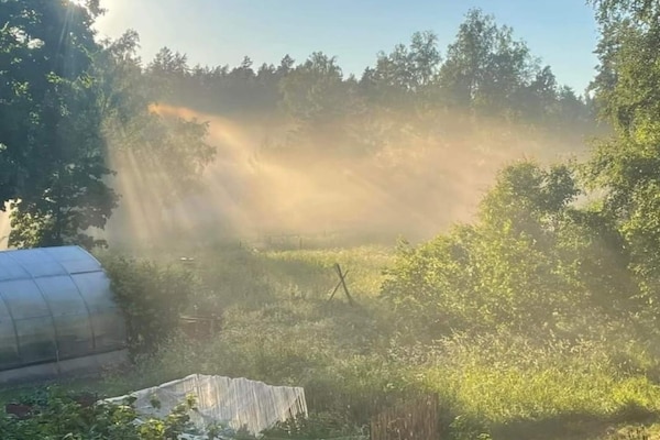 Foto van 4 persoons vakantie huis in NYKVARN - Vakantiehuis in NYKVARN - Outdoor