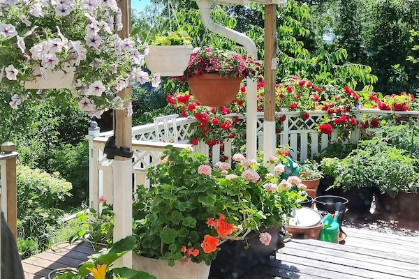 Foto van 4 persoons vakantie huis in ÅRSTA HAVSBAD - Vakantiehuis in ÅRSTA HAVSBAD - Outdoor