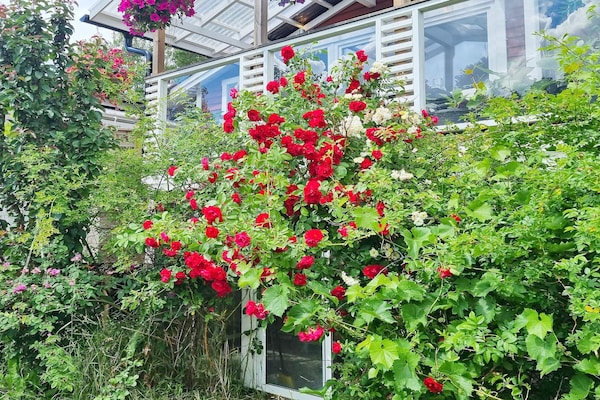 Foto van 4 persoons vakantie huis in ÅRSTA HAVSBAD - Vakantiehuis in ÅRSTA HAVSBAD - Outdoor