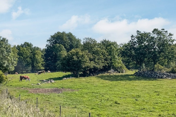Foto van Charmant huisje aan het meer in Torsebo - Vakantiehuis in VIRSERUM - Untagged