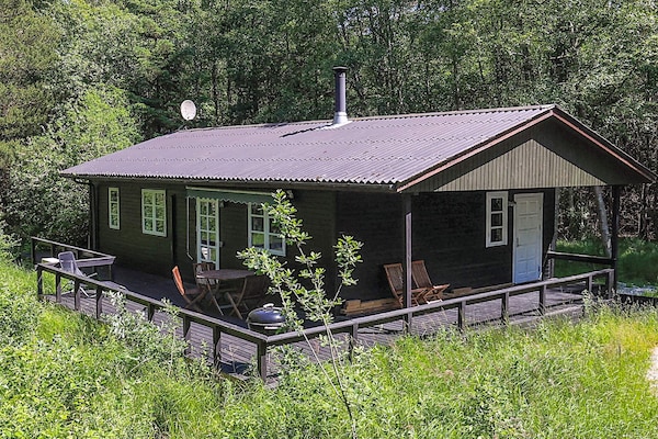 Foto van 4 Personen vakantie huis in Læsø - Vakantiehuis in Læsø - Outdoor
