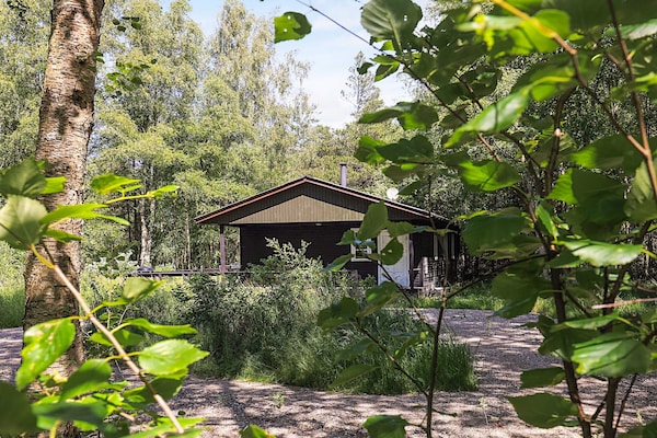 Foto van 4 Personen vakantie huis in Læsø - Vakantiehuis in Læsø - View