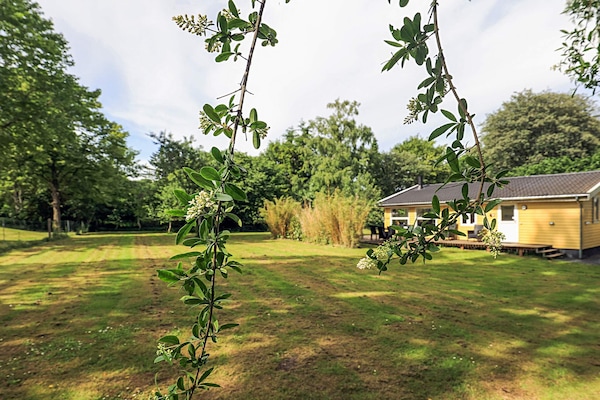 Foto van 6 Personen vakantie huis in Borup - Vakantiehuis in Borup - View