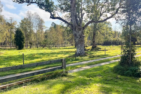 Foto van 4 Personen vakantie huis in TINGSRYD - Vakantiehuis in TINGSRYD - Outdoor