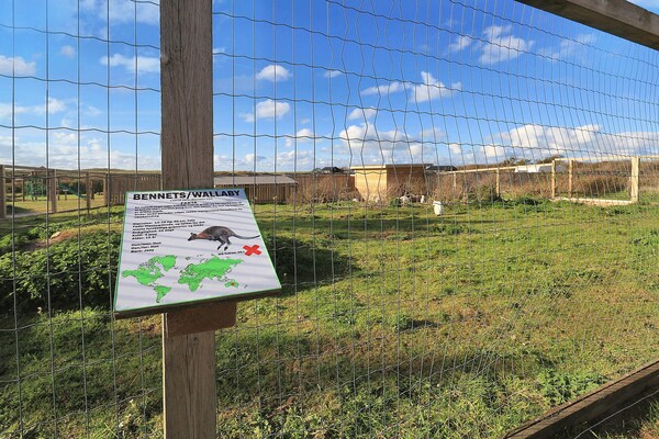 Foto van Luxe toevluchtsoord in Nordjylland -- By Traum Ferienwohnungen - View