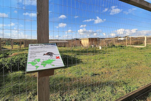 Foto van Lichte hutten met terras -- By Traum Ferienwohnungen - View