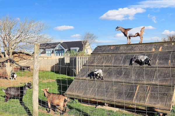 Foto van Lichte hutten met terras -- By Traum Ferienwohnungen - View