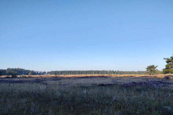 Foto van Charmant toevluchtsoord in Sydjylland - Vakantiehuis in Hovborg - WaterView