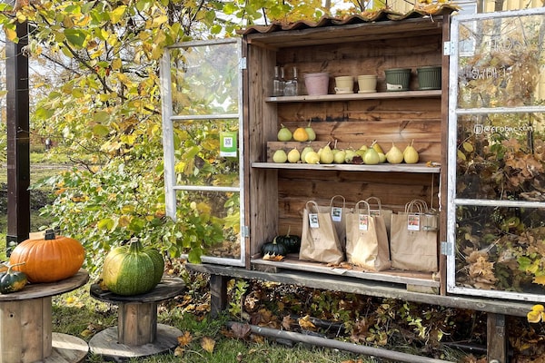 Foto van Rustige boswoning in Dalsland - Vakantiehuis in Fengersfors - Untagged