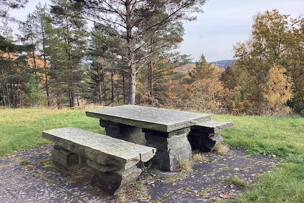 Foto van Rustige boswoning in Dalsland - Vakantiehuis in Fengersfors - Outdoor