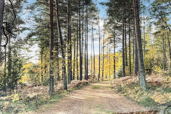 Foto van Rustige boswoning in Dalsland - Vakantiehuis in Fengersfors - Outdoor