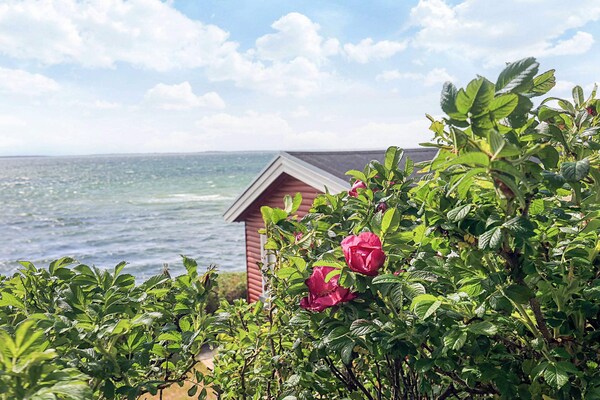 Foto van 4 Personen vakantie huis in Martofte - Vakantiehuis in Martofte - WaterView
