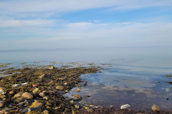 Foto van 4 Personen vakantie huis in Martofte - Vakantiehuis in Martofte - WaterView