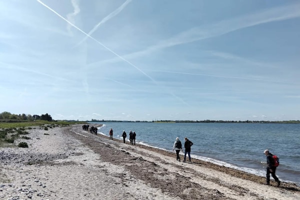 Foto van 4 Personen vakantie huis in Martofte - Vakantiehuis in Martofte - WaterView