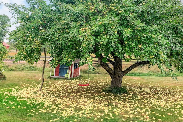 Foto van 4 Personen vakantie huis in HALLSTAVIK - Vakantiehuis in HALLSTAVIK - Outdoor