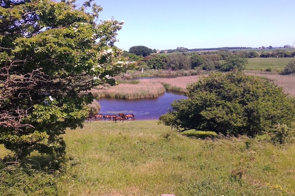 Foto van 4 sterren vakantie huis in Bagenkop - Vakantiehuis in Bagenkop - WaterView