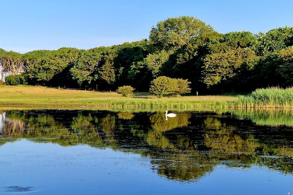 Foto van 4 sterren vakantie huis in Bagenkop - Vakantiehuis in Bagenkop - WaterView