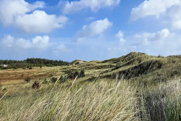 Foto van 4 sterren vakantie huis in Ålbæk - Vakantiehuis in Ålbæk - Untagged