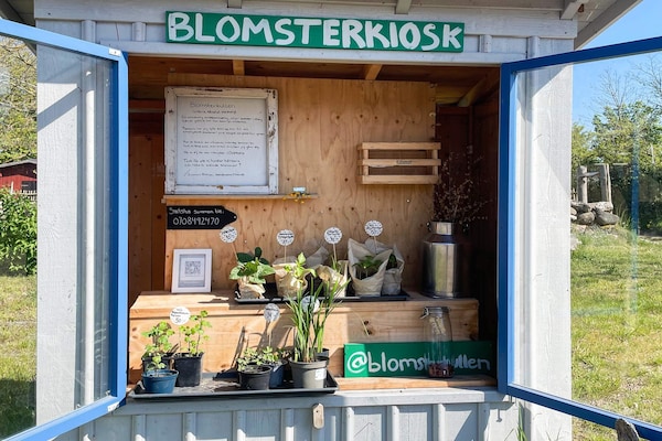 Foto van Vakantiehuis voor 4 personen in Farjestaden - Vakantiehuis in FäRJESTADEN - Untagged
