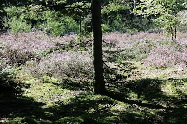Foto van 5 sterren vakantie huis in Ålbæk - Vakantiehuis in Ålbæk - Untagged
