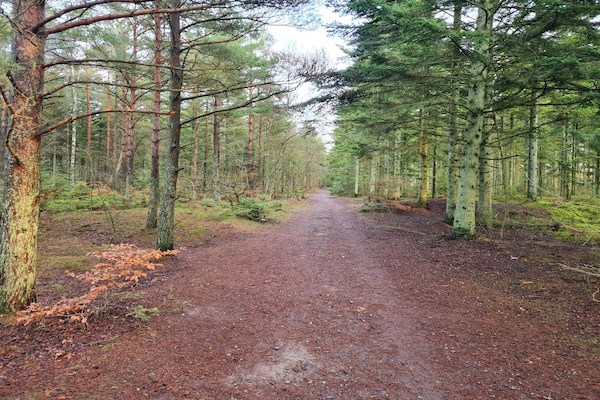 Foto van 5 sterren vakantie huis in Ålbæk - Vakantiehuis in Ålbæk - Untagged