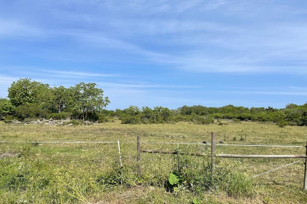 Foto van 4 sterren vakantie huis in Burgsvik - Vakantiehuis in Burgsvik - Outdoor