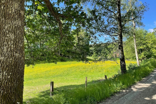 Foto van 4 sterren vakantie huis in LJUNGSKILE - Vakantiehuis in LJUNGSKILE - Outdoor