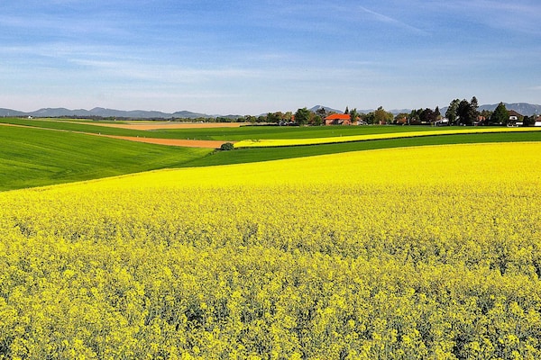 Foto van Landelijk toevluchtsoord voor 4 gasten - Vakantiehuis in SKÅNES FAGERHULT - Untagged